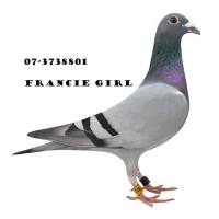 Francie Girl